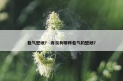 色气壁纸？ 有没有哪种色气的壁纸？