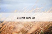 pets付款（pets up）