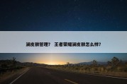 澜皮肤管理？ 王者荣耀澜皮肤怎么样？