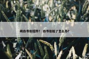 纯白书包挂件？ 白书包脏了怎么办？