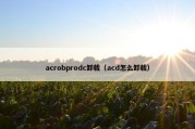 acrobprodc卸载（acd怎么卸载）