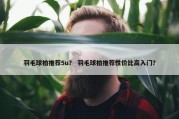 羽毛球拍推荐5u？ 羽毛球拍推荐性价比高入门？