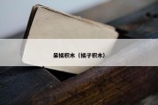呆橘积木（橘子积木）