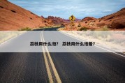 荔枝用什么泡？ 荔枝用什么泡着？