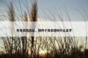 开鼻炎馆选址，想开个鼻炎馆叫什么名字