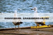 苏州如何代排队核酸，在苏州做核酸检测怎么网上预约