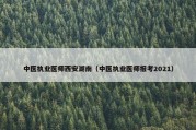 中医执业医师西安湖南（中医执业医师报考2021）
