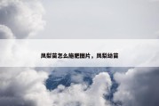 凤梨苗怎么施肥图片，凤梨幼苗