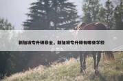 新加坡专升硕非全，新加坡专升硕有哪些学校