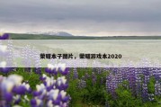荣耀本子图片，荣耀游戏本2020