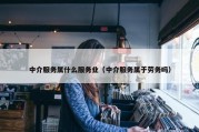 中介服务属什么服务业（中介服务属于劳务吗）