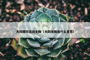 大码螺纹运动文胸（大码文胸是什么意思）