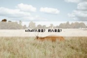 schalf八音盒？ 的八音盒？