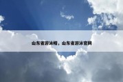 山东省游泳帽，山东省游泳官网