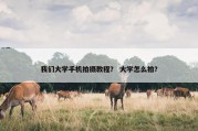我们大学手机拍摄教程？ 大学怎么拍？