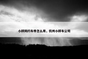 小胖网约车券怎么用，杭州小胖车公司