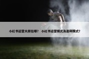 小红书运营大屏在哪？ 小红书运营模式及盈利模式？