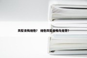 凤梨青梅维他？ 维他凤梨青梅乌龙茶？