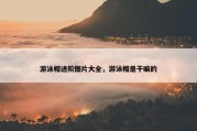 游泳帽进阶图片大全，游泳帽是干嘛的