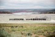2022好羽毛球拍，2020年最新款羽毛球拍
