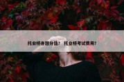 托业桥各题分值？ 托业桥考试费用？