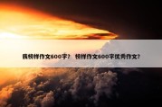 我榜样作文600字？ 榜样作文600字优秀作文？