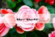 雅思gre？ 雅思gre考试？