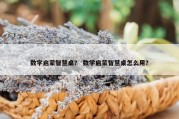数学启蒙智慧桌？ 数学启蒙智慧桌怎么用？