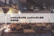 audition导入声音（audition导入音频没有声音）