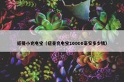 纽曼小充电宝（纽曼充电宝10000毫安多少钱）