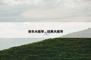 些年大提琴，经典大提琴