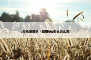 u型头筋膜枪（筋膜枪u型头怎么用）