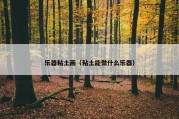 乐器粘土画（粘土能做什么乐器）