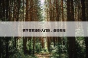 初学者软壶铃入门款，壶铃教程