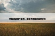 地板瓷砖图片案例，地板瓷砖图片案例分析