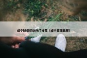 咸宁球类运动热门推荐（咸宁篮球比赛）