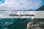 东莞包间网吧（东莞包间网吧在哪里）