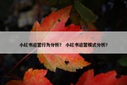 小红书运营行为分析？ 小红书运营模式分析？