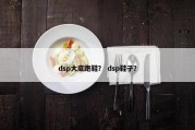 dsp大底跑鞋？ dsp鞋子？