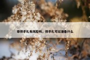 带伴手礼有风险吗，伴手礼可以准备什么
