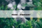 用发动机？ 洋马船用发动机？