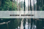 懒羊羊充电宝？ 懒羊羊充电提示音？