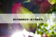 保证书偷钱保证书（偷了钱保证书）