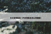车元宝钥匙包（汽车钥匙包怎么用图解）