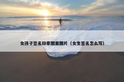 女孩子签名印章图案图片（女生签名怎么写）