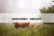 连笔签名印章图片？ 连笔签名练字？