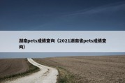 湖南pets成绩查询（2021湖南省pets成绩查询）