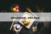 特斯拉充电宝怎样？ 特斯拉 充电宝？