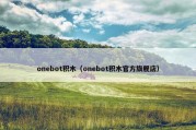 onebot积木（onebot积木官方旗舰店）