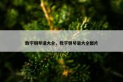 数字钢琴谱大全，数字钢琴谱大全图片